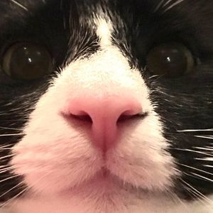 Meet your Posher, Stacey